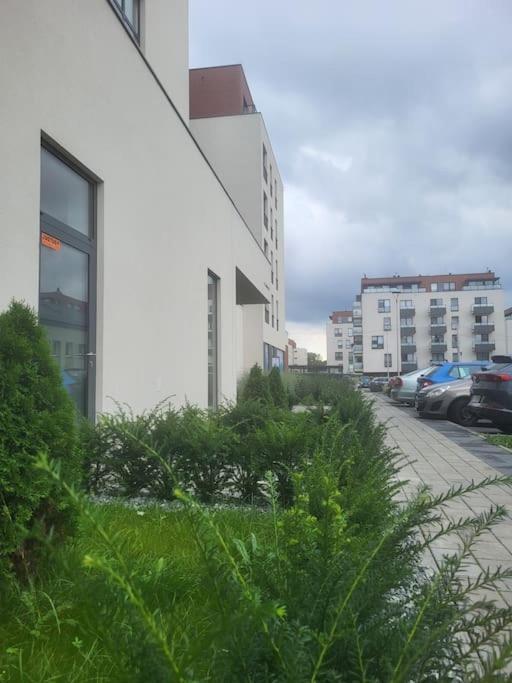 Olive Tree Apartment - Klimatyzacja - Air Conditioning-Self-Check-In Katovice Exteriér fotografie
