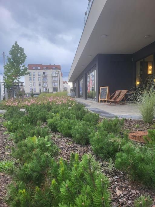 Olive Tree Apartment - Klimatyzacja - Air Conditioning-Self-Check-In Katovice Exteriér fotografie